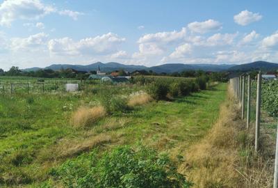 Spațiu comercial, în Săsar - 5