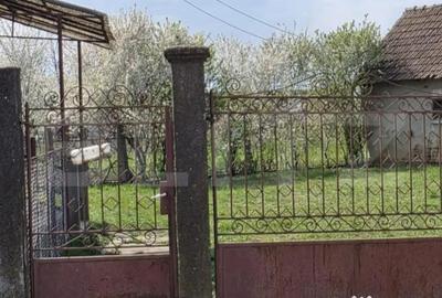 Casă cu 2 camere cu Teren 3043 Mp în Păulești - 1