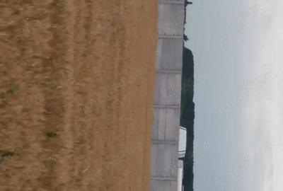 Teren de 20000 mp, în Valea Rumâneștilor - 5