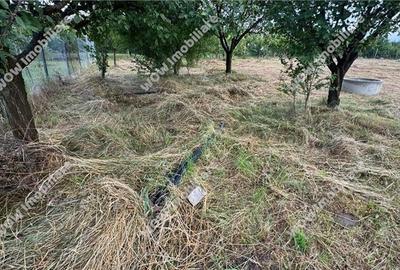 Teren intravilan 800 mp deschidere 40 ml Daia Noua - Sibiu - 2