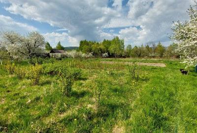 Teren de 5000 mp, în Pietroasa - 6