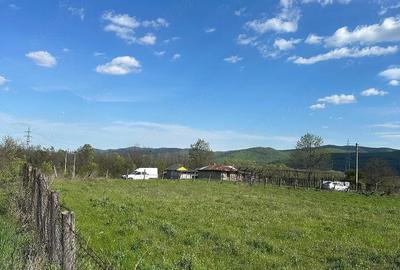 Teren de 2400 mp, în Robești - 3