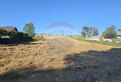 Teren de 7500 mp, în Moara - 16