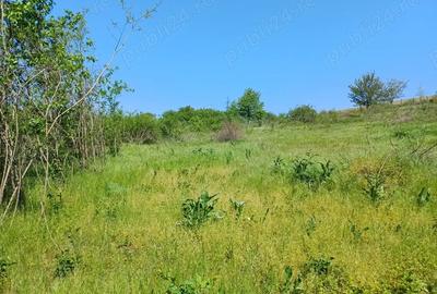 Teren de 1900 mp, în Cuza Vodă (Popricani) - 1