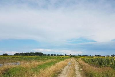 Teren intravilan Ciorogarla, 500 mp, deschidere 20 ml - 7