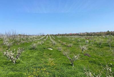 Casă cu 4 camere în Ciorani - 1