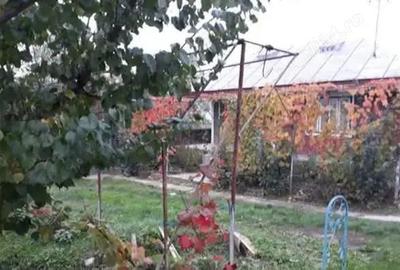 Casă cu 6 camere în Dumbrava (Gura Văii) - 13