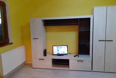 Apartament cu 2 camere nedecomandat în Central - 4