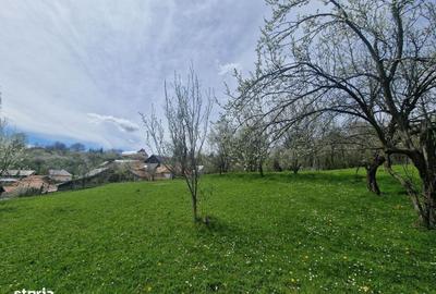 Spațiu comercial, în Ghioșești - 10