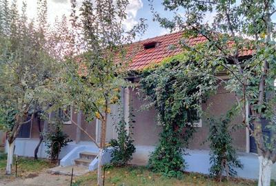 Casă cu 3 camere în Trifești - 1
