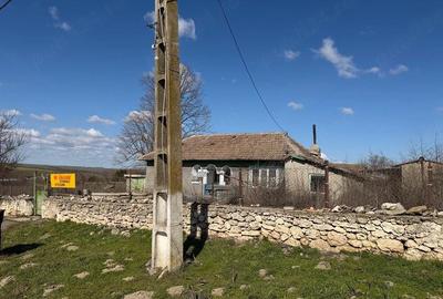 Casă cu Teren 2142 Mp în Olteni - 4