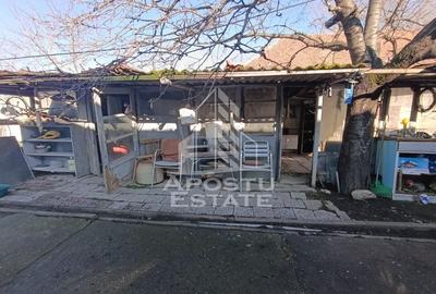 Casa individuala cu teren generos 2158mp, front 12m, livada, Freidorf - 59