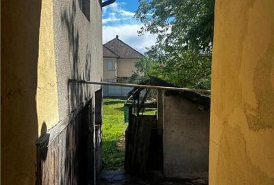 Reco Casa cu gradina Beius - 13