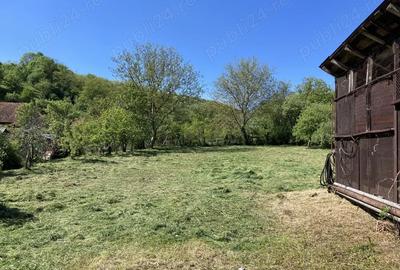 Casă cu 4 camere în Săvârșin - 1