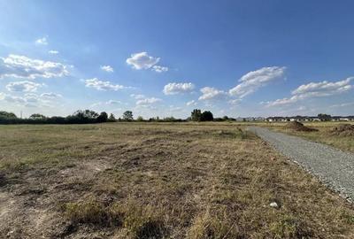 Bucovăț | PUZ nou | Utilități în curs | Lângă Maria Parc Residence - 7