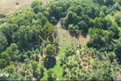 Teren de 10537 mp, în Bogdănești - 7