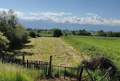 Casă cu 2 camere în Săcădate - 3