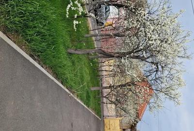 Casă cu 4 camere în Central - 2