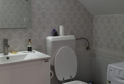 Casa Duplex P+M ,4 camere,Domnesti - Ciutaci - 9