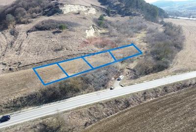 Teren de 2000 mp, în Moșna - 14