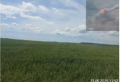 Teren extravilan 5000 mp Loc Plesoiu, Jud Olt - 1