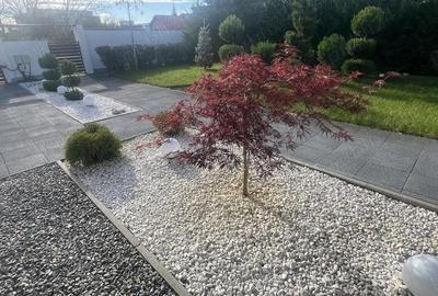 Casă cu 4 camere cu Teren 860 Mp în Micălaca - 4