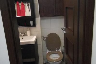 Apartament cu 3 camere semidecomandat în Teiul Doamnei - 3