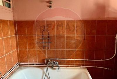 Casă individuală cu 2 camere cu Teren 1449 Mp în Ocna Șugatag - 9