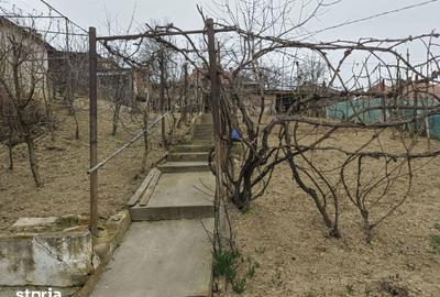 Casă cu Teren 593 Mp în Ultracentral - 4