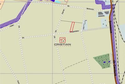 Teren de 5000 mp, în Domnești