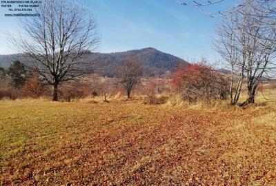 Teren intravilan Bistrita - 1