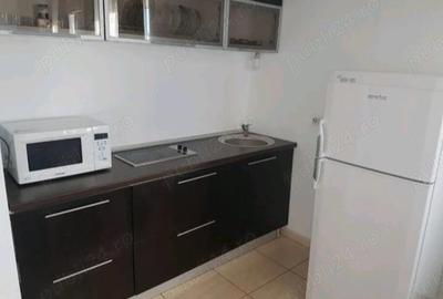 Apartament cu 2 camere în Sat Vacanță - 4