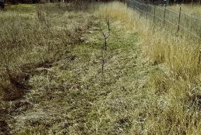 Teren de 1000 mp, în Aroneanu - 8