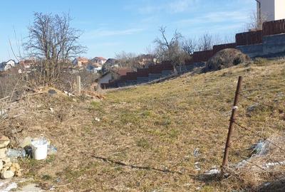 Spațiu comercial, în Feleacu