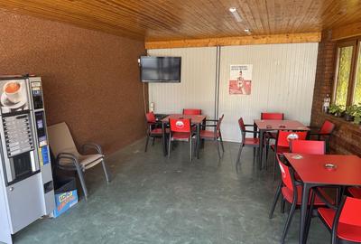 Casă cu 3 camere în Amara - 6