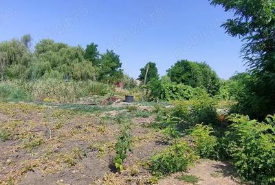 Teren de 2800 mp, în Lovrin - 2