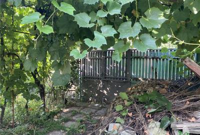 Casa de adiacent pod Colentina - 8