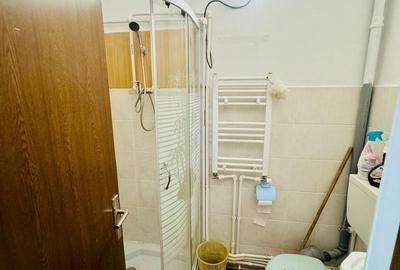 Apartament cu 2 camere semidecomandat în Vișan - 14