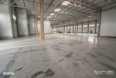 Spațiu comercial, de 3,218 mp, în Gilău - 5