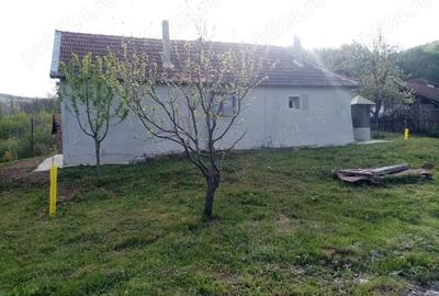 Casă cu 2 camere cu Teren 8000 Mp în Barbura - 6