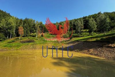 18000 mp de natura pura ,Lupeni, langa Straja 18000 mp de natura pura ,Lupeni, langa Straja - 27