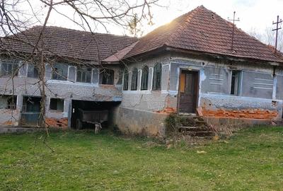 Casă cu 3 camere cu Teren 1400 Mp în Avram Iancu (Vârfurile) - 5