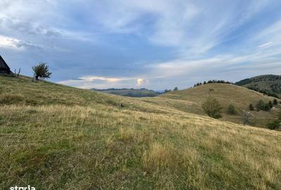 Teren de 14526 mp, în Gura Râului - 5