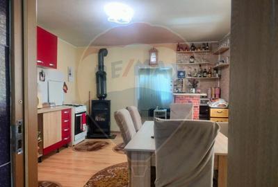 Casa la tara in satul Retis, comuna Bradeni, aproape de ... - 15