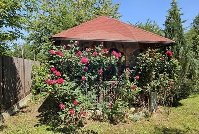 Casa / Vila cu 6 camere de vanzare - CORNU - 12