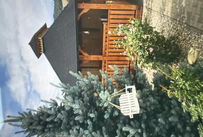 Casă cu 6 camere cu Teren 1700 Mp în Central - 2