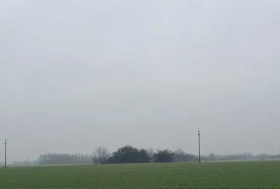 Teren de 10000 mp, în Balta Doamnei - 2