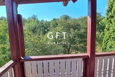 Cabana de vanzare, Vatava, Mures - 7