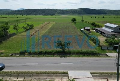 Teren de 3043 mp, în Prisaca - 1
