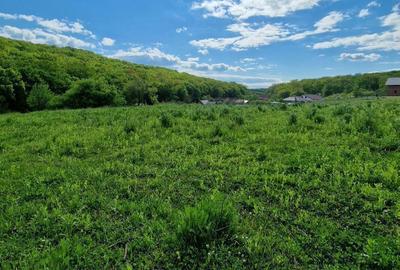 Teren de 700 mp, în Central - 2